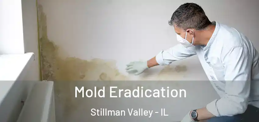  Mold Eradication Stillman Valley - IL