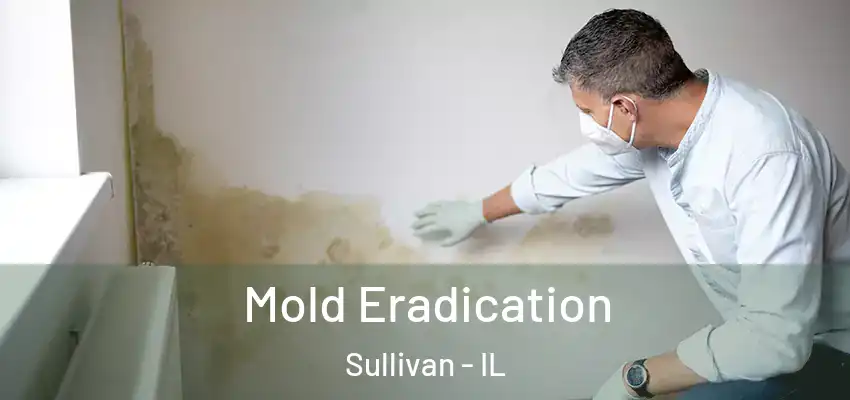  Mold Eradication Sullivan - IL