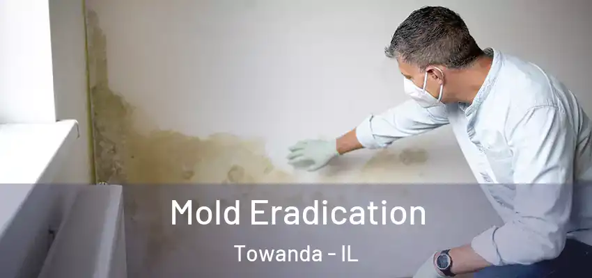  Mold Eradication Towanda - IL