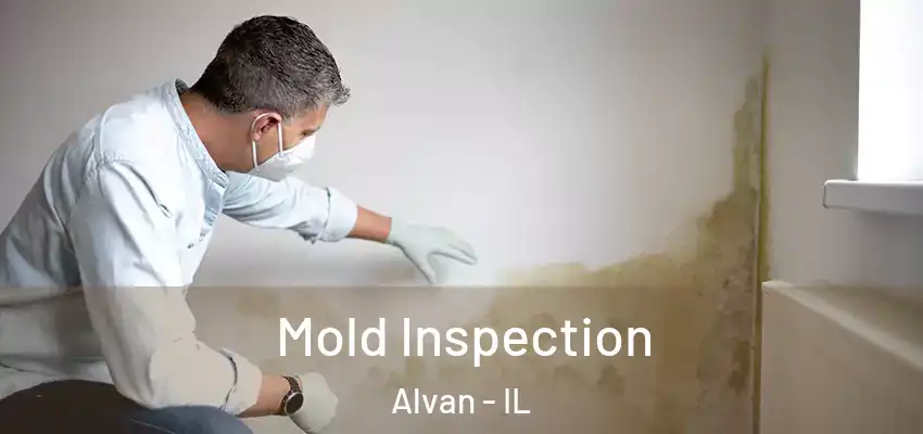 Mold Inspection Alvan - IL