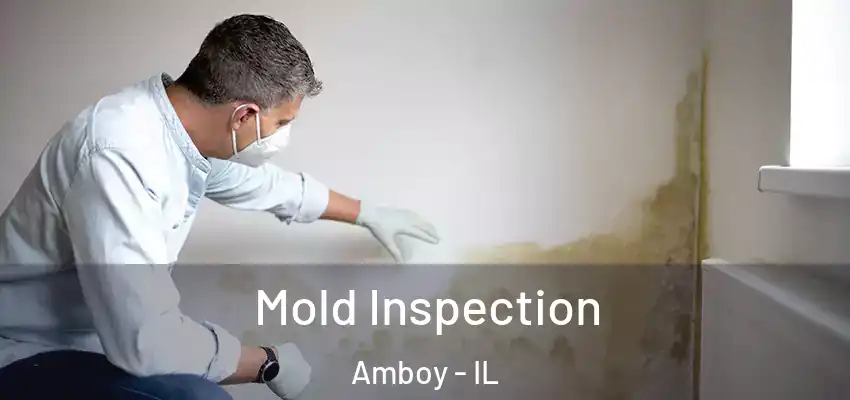  Mold Inspection Amboy - IL