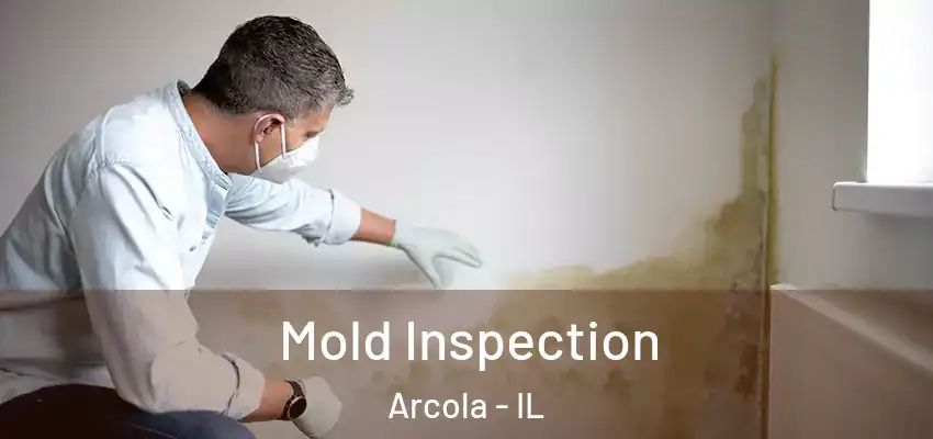 Mold Inspection Arcola - IL