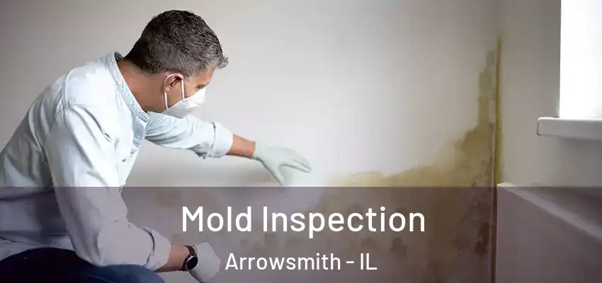  Mold Inspection Arrowsmith - IL