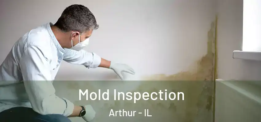 Mold Inspection Arthur - IL