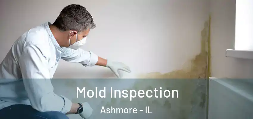 Mold Inspection Ashmore - IL