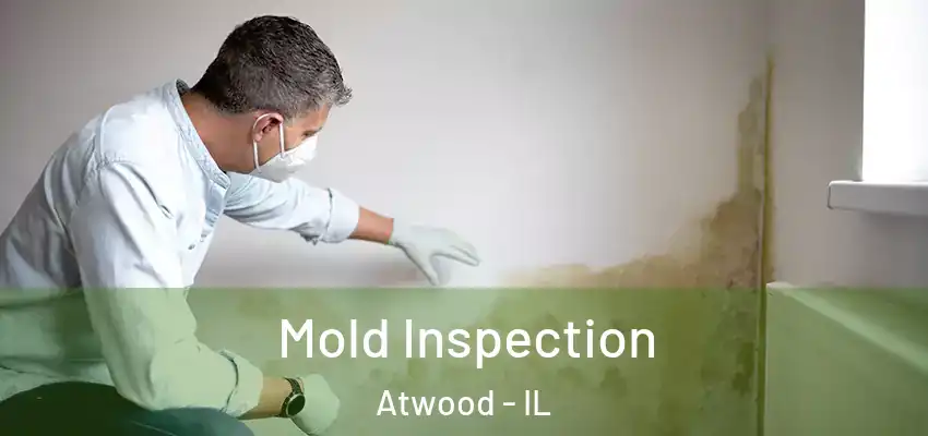  Mold Inspection Atwood - IL