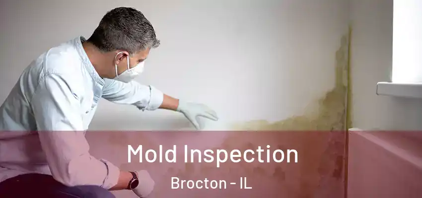  Mold Inspection Brocton - IL