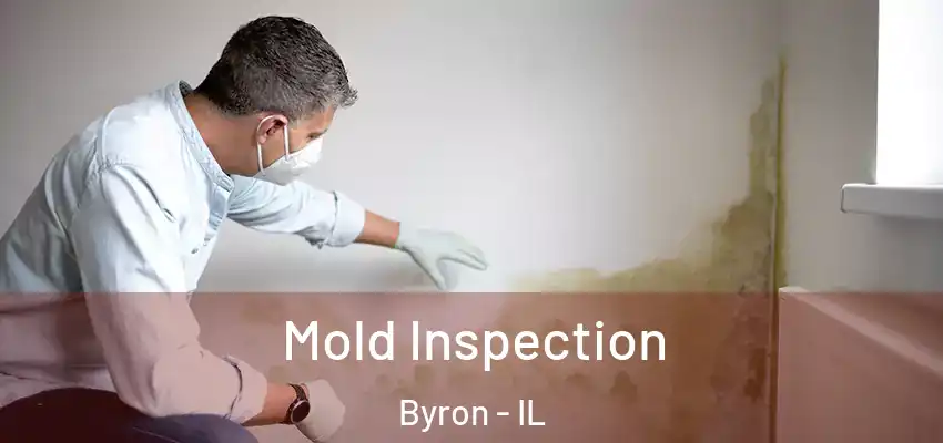  Mold Inspection Byron - IL