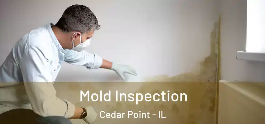 Mold Inspection Cedar Point - IL