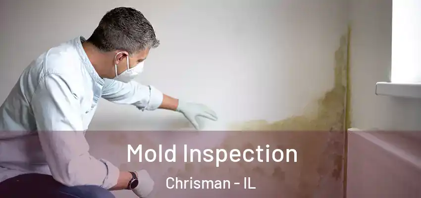  Mold Inspection Chrisman - IL