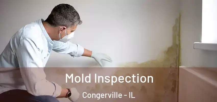  Mold Inspection Congerville - IL
