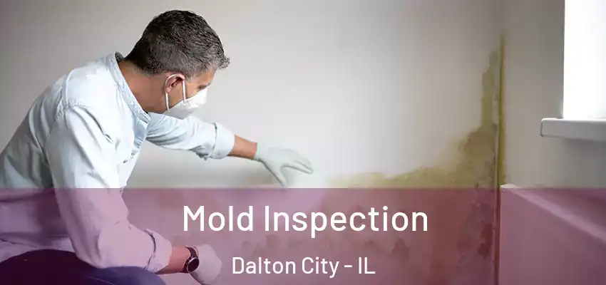 Mold Inspection Dalton City - IL