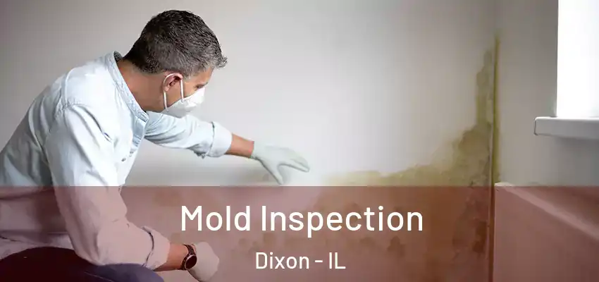  Mold Inspection Dixon - IL