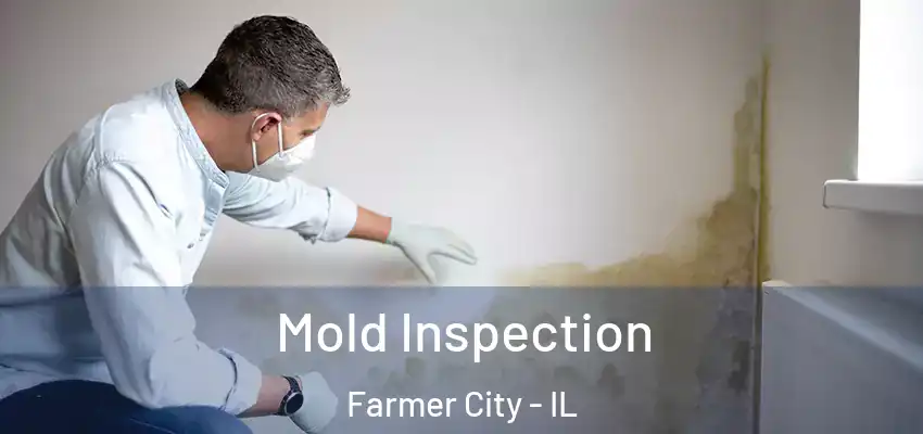  Mold Inspection Farmer City - IL