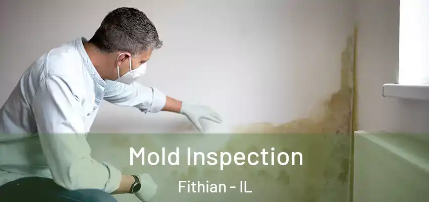  Mold Inspection Fithian - IL
