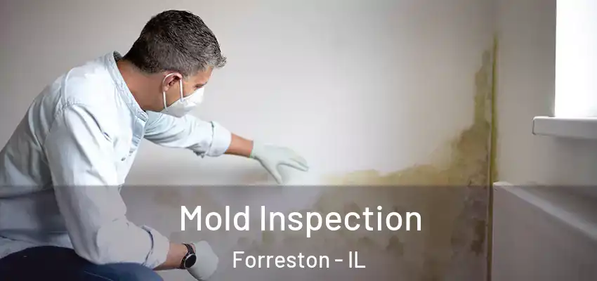 Mold Inspection Forreston - IL