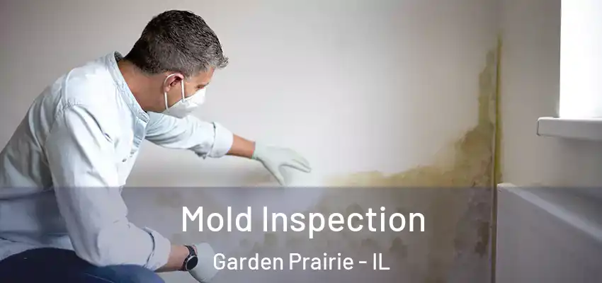  Mold Inspection Garden Prairie - IL