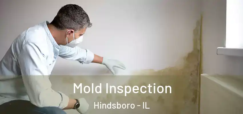  Mold Inspection Hindsboro - IL