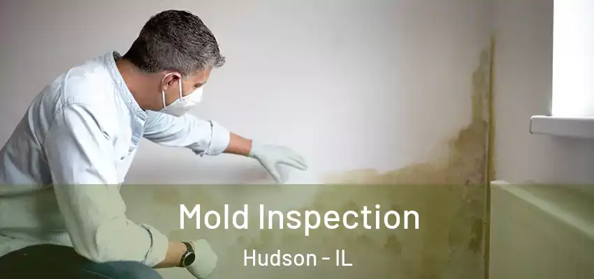  Mold Inspection Hudson - IL