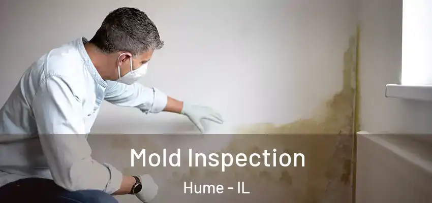  Mold Inspection Hume - IL