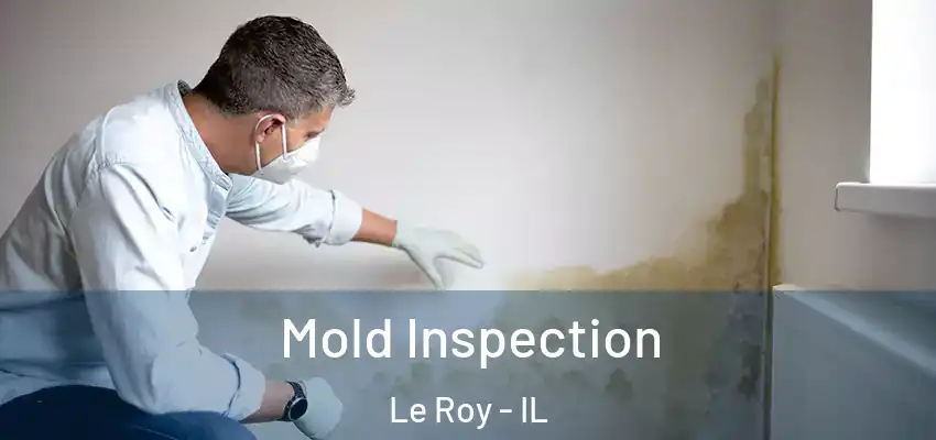  Mold Inspection Le Roy - IL