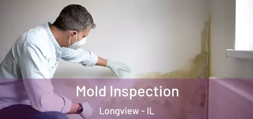  Mold Inspection Longview - IL
