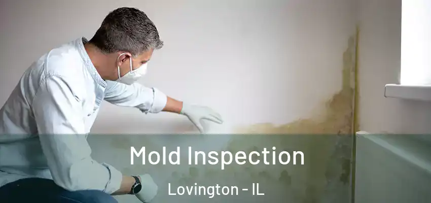  Mold Inspection Lovington - IL