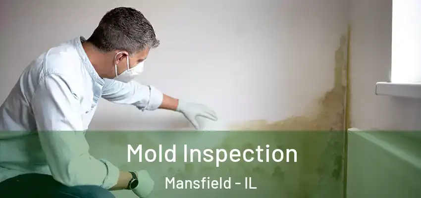 Mold Inspection Mansfield - IL
