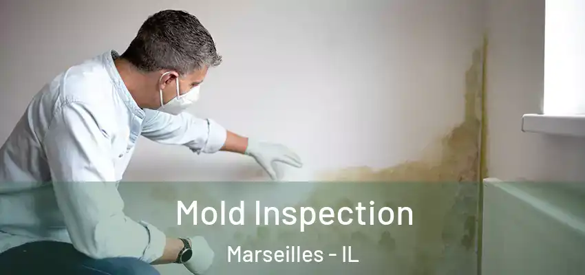  Mold Inspection Marseilles - IL