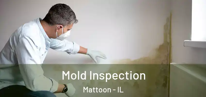 Mold Inspection Mattoon - IL