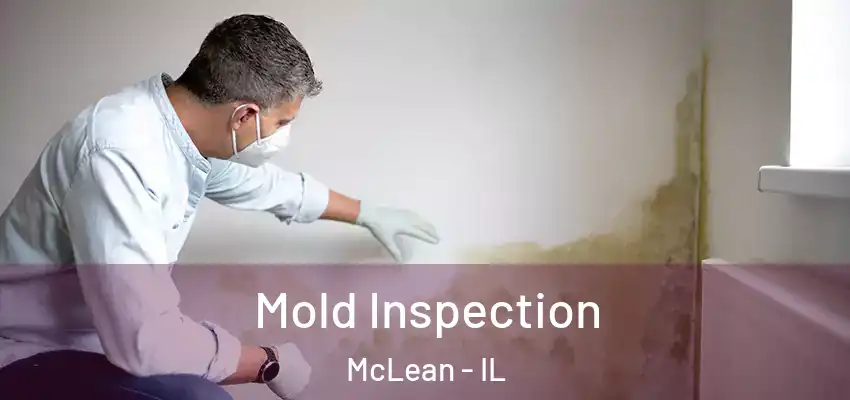 Mold Inspection McLean - IL