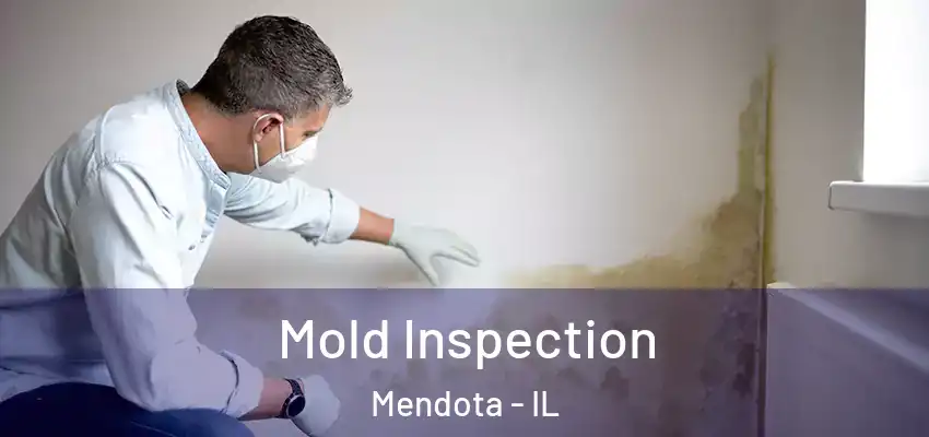  Mold Inspection Mendota - IL