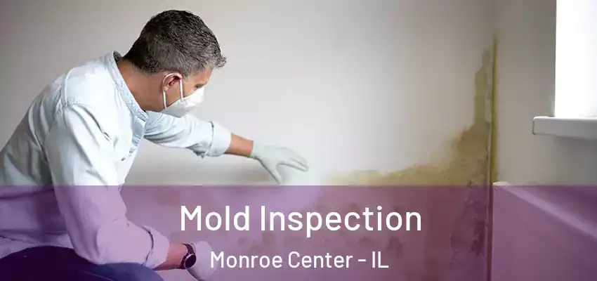  Mold Inspection Monroe Center - IL