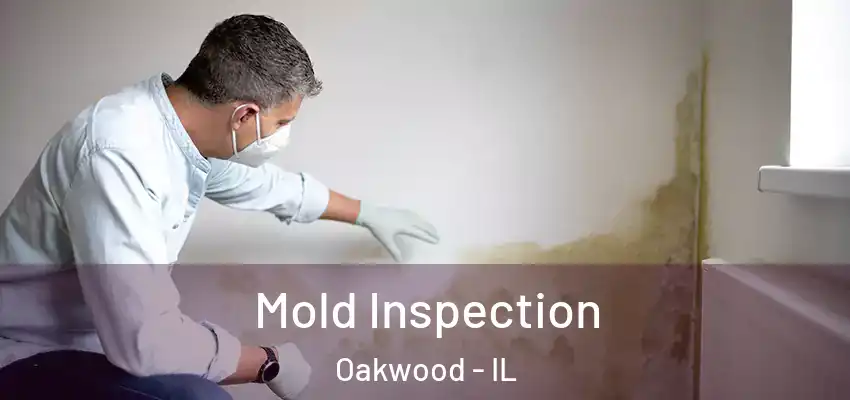  Mold Inspection Oakwood - IL