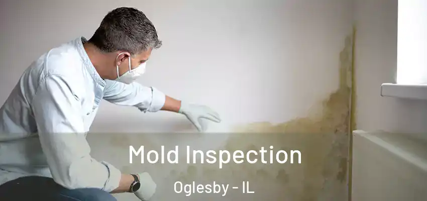  Mold Inspection Oglesby - IL