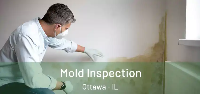 Mold Inspection Ottawa - IL