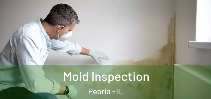 Mold Inspection Peoria - IL