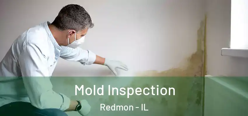  Mold Inspection Redmon - IL