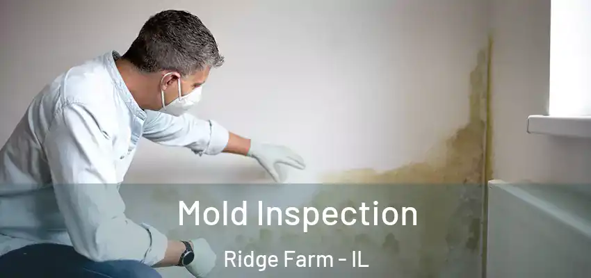  Mold Inspection Ridge Farm - IL
