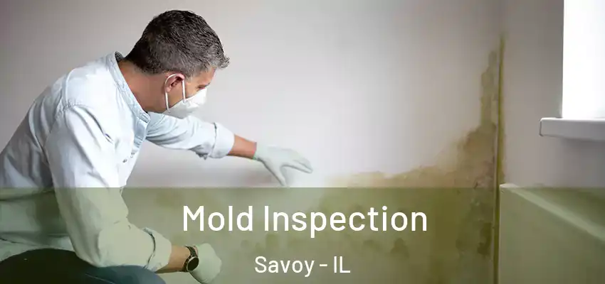  Mold Inspection Savoy - IL