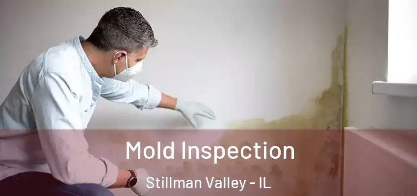  Mold Inspection Stillman Valley - IL