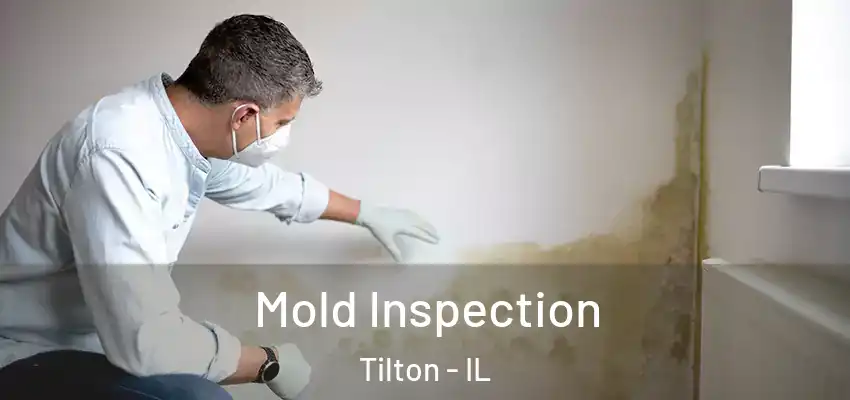  Mold Inspection Tilton - IL