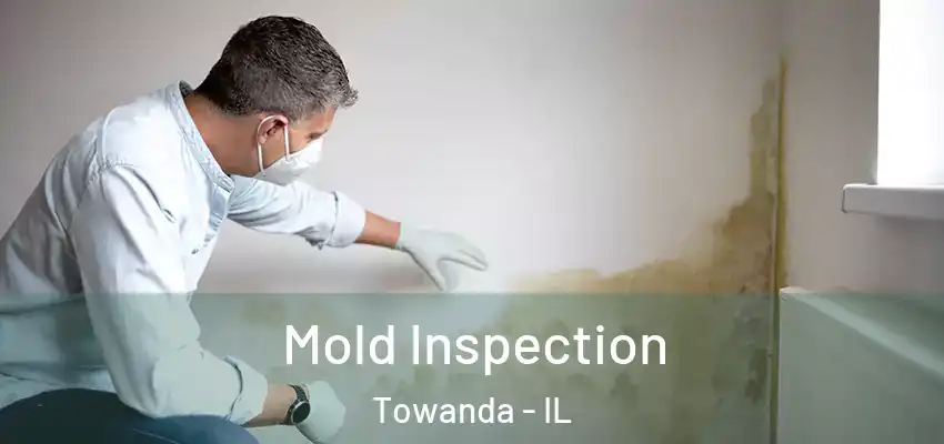  Mold Inspection Towanda - IL
