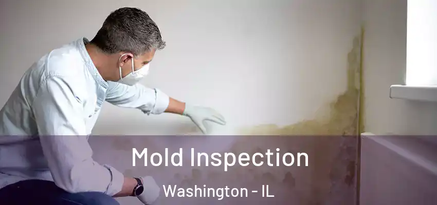  Mold Inspection Washington - IL
