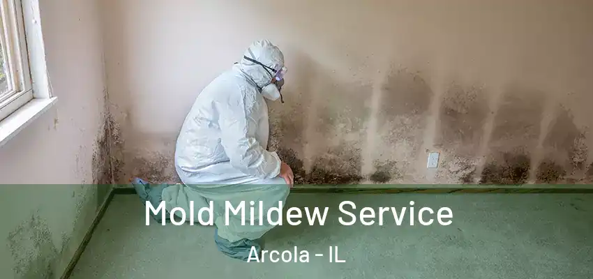  Mold Mildew Service Arcola - IL