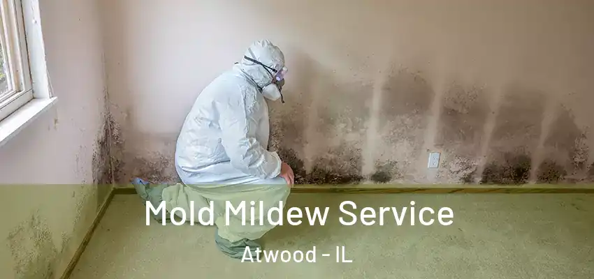  Mold Mildew Service Atwood - IL