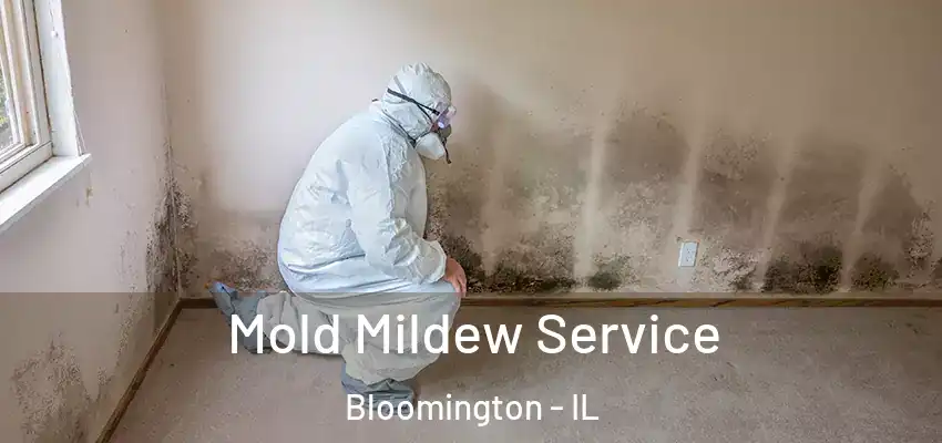  Mold Mildew Service Bloomington - IL