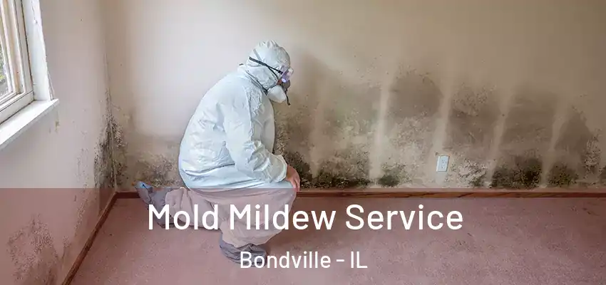  Mold Mildew Service Bondville - IL
