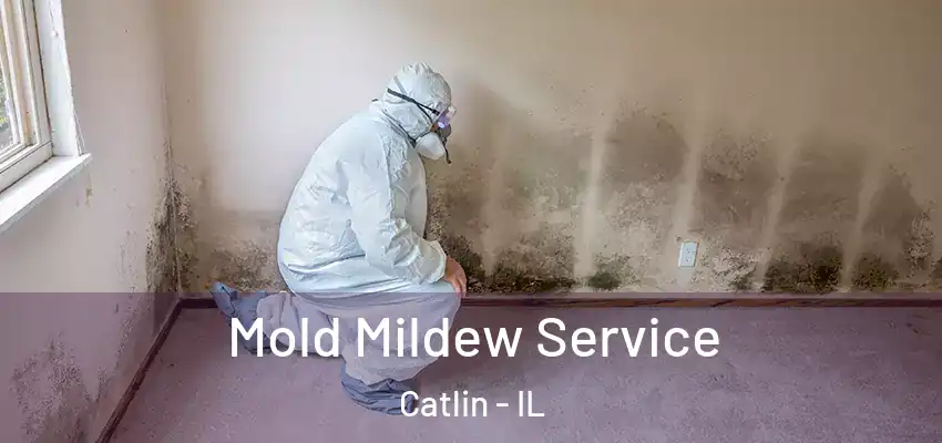  Mold Mildew Service Catlin - IL