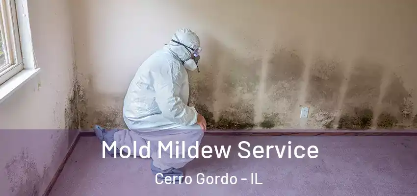  Mold Mildew Service Cerro Gordo - IL